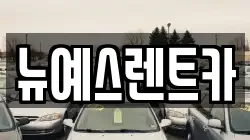대구광역시 중구 동성로1가 렌트카,단기렌트카,장기렌트카,중고차,중고차매매,중고차매입