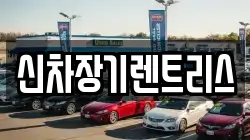 신차장기렌트리스