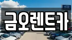 대구광역시 중구 동성로2가 렌트카,단기렌트카,장기렌트카,중고차,중고차매매,중고차매입
