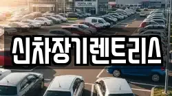 신차장기렌트리스
