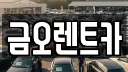 금오렌트카