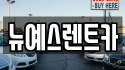 대구광역시 중구 문화동 렌트카,단기렌트카,장기렌트카,중고차,중고차매매,중고차매입