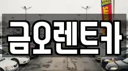 대구광역시 중구 북성로1가 렌트카,단기렌트카,장기렌트카,중고차,중고차매매,중고차매입