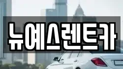 대구광역시 중구 서내동 렌트카,단기렌트카,장기렌트카,중고차,중고차매매,중고차매입