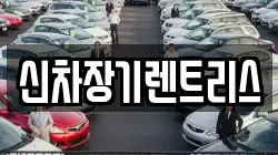 대구광역시 중구 서성로2가 렌트카,단기렌트카,장기렌트카,중고차,중고차매매,중고차매입