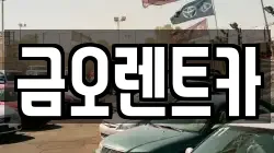 금오렌트카