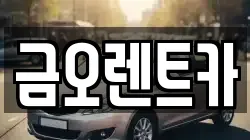 대구광역시 중구 완전동 렌트카,단기렌트카,장기렌트카,중고차,중고차매매,중고차매입