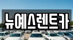 뉴예스렌트카