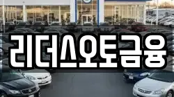 리더스오토금융