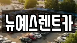 대구광역시 중구 장관동 렌트카,단기렌트카,장기렌트카,중고차,중고차매매,중고차매입