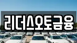 리더스오토금융