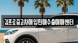 김프로중고차매입판매수출매매센터