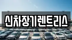 신차장기렌트리스