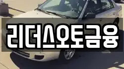 리더스오토금융