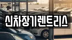 신차장기렌트리스
