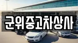 군위중고차상사