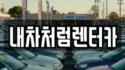 내차처럼렌터카
