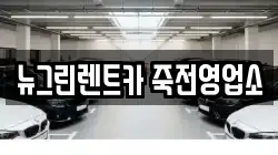 뉴그린렌트카 죽전영업소
