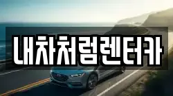 내차처럼렌터카