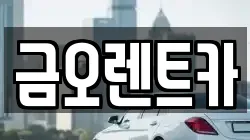 금오렌트카