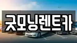 대구 달서구 신당동 렌트카,단기렌트카,장기렌트카,중고차,중고차매매,중고차매입