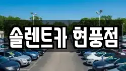 솔렌트카 현풍점
