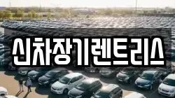 신차장기렌트리스