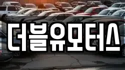 더블유모터스
