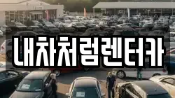 내차처럼렌터카