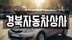 대구 동구 도학동 렌트카,단기렌트카,장기렌트카,중고차,중고차매매,중고차매입