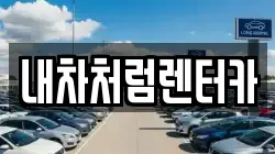 내차처럼렌터카