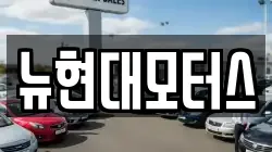 뉴현대모터스