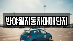 반야월자동차매매단지