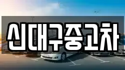 신대구중고차