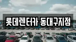 롯데렌터카 동대구지점