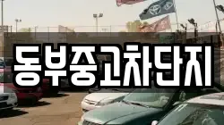 동부중고차단지