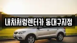 내차처럼렌터카 동대구지점
