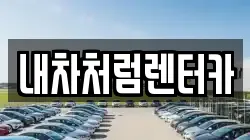 내차처럼렌터카