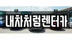 내차처럼렌터카