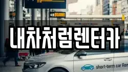 내차처럼렌터카