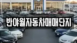 반야월자동차매매단지