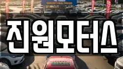 진원모터스