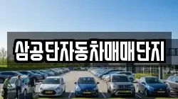 삼공단자동차매매단지