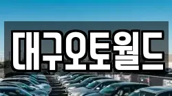 대구오토월드
