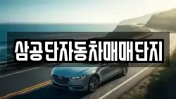 삼공단자동차매매단지