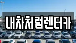 내차처럼렌터카