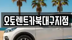 오토렌트카북대구지점