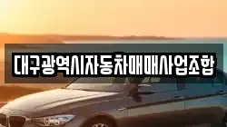 대구광역시자동차매매사업조합