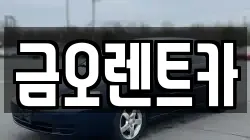 금오렌트카