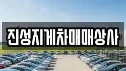 진성지게차매매상사